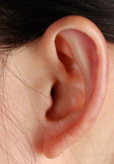 小耳畸形能恢复听力吗_先天性小耳畸形是否可以检查出来
