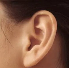 皮筋绑耳朵可以维持多久(如何用皮筋绑耳朵)