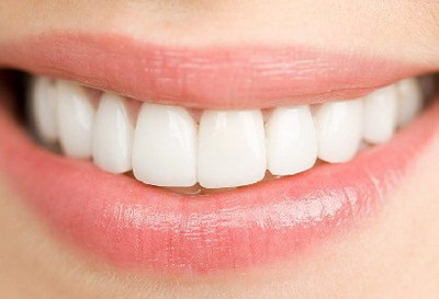 牙齿的种类有哪些和作用图片